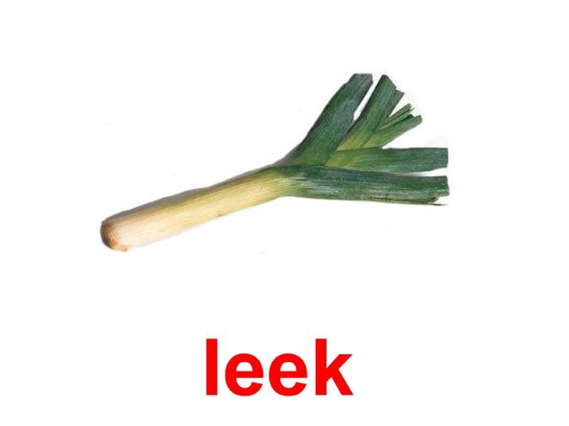 leek